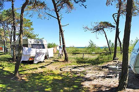 Campingplatz Ruegen Campingplatz Drewoldke