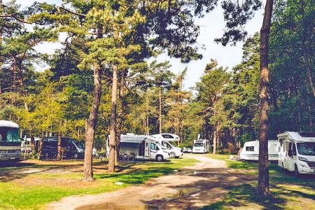 Campingplatz Ruegen Regenbogen Suhrendorf