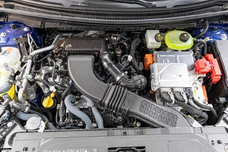 Renault Austral, Dauertest-Tagebuch