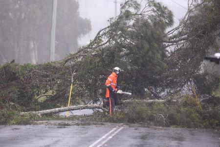 Umgestürzte Bäume und Strommasten: Tausende Anwohner sind bereits ohne Strom.