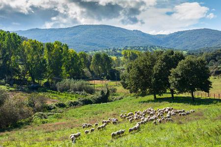 Reise, Sardinien