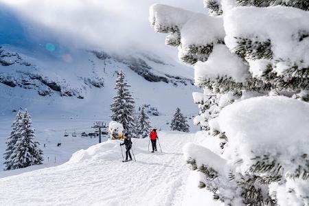Skigebiet, Winterlandschaft, Skifahrer, NadelbŠume Skigebiet, Winterlandschaft, Skifahrer, NadelbŠume