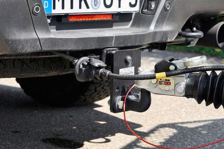 Kugelkopf, Nummernschild