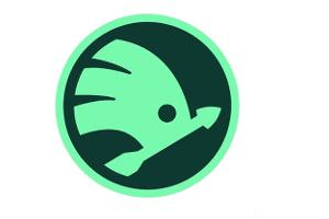 Skoda Logo up
