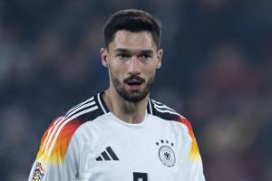 DFB-Star lagert Schildkröten im Kühlschrank - doch ist das gut für die Tiere?
