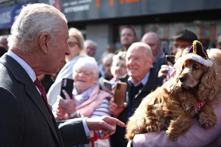 Limavady: König Charles wird von gekröntem Hund begrüßt Limavady: König Charles wird von gekröntem Hund begrüßt