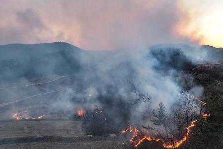 Mindestens vier Menschen sind beim Einsatz gegen Waldbrände in Südkorea ums Leben gekommen.
