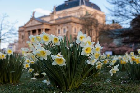 Temperaturen bis zu 18 Grad erwartet der Wetterdienst in den kommenden Tagen.