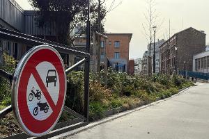 Bei der Abstimmung ging es auch darum, dass die Straßen begrünt werden sollen. (Archivbild)