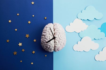 Digitales Gehirn mit Uhrzeiger zwischen Tag und Nacht
