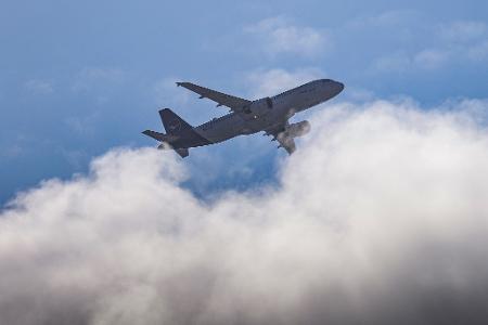Wie kann ein Passagier die Umweltauswirkungen des Fliegens kompensieren? Wie kann ein Passagier die Umweltauswirkungen des Fliegens kompensieren?
