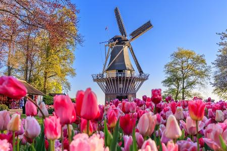 Der Frühling steht vor der Tür: Die schönsten Gärten der Welt Der Frühling steht vor der Tür: Die schönsten Gärten der Welt