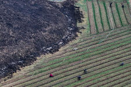 Die Waldbrände gelten als die mit Abstand schlimmsten in der Geschichte Südkoreas.