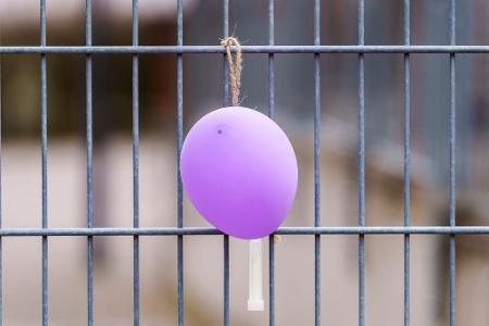 Luftballons sind in der Hoffnung aufgehängt worden, ihr Anblick könnte Pawlos aus einem Versteck locken. Luftballons sind in der Hoffnung aufgehängt worden, ihr Anblick könnte Pawlos aus einem Versteck locken.