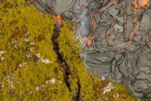 Lava trifft Mooslandschaft: Island erlebt einen erneuten Vulkanausbruch.
