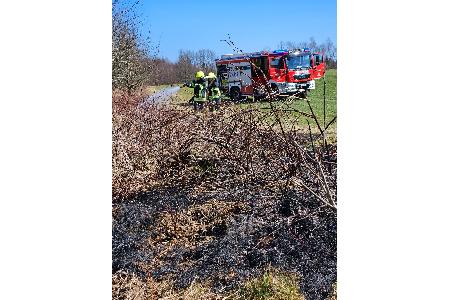Wald- & Vegetationsbrand Wald- & Vegetationsbrand