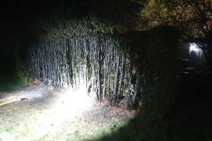Feuer 2 - Heckenbrand - 05.04.25 - 22:30 Uhr