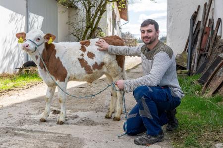 Johannes Brandhuber betreibt auf dem seit Generationen bestehenden Hof Rindermast - eine Kuh verschluckte seinen Ehering. Johannes Brandhuber betreibt auf dem seit Generationen bestehenden Hof Rindermast - eine Kuh verschluckte seinen Ehering.