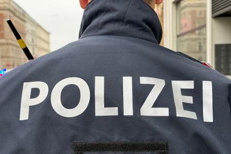 In Wien hat ein Vierjähriger einen Sturz aus dem fünften Stock mit Prellungen überlebt . In Wien hat ein Vierjähriger einen Sturz aus dem fünften Stock mit Prellungen überlebt .
