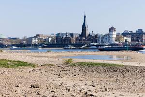 In Oberkassel am Rhein herrscht Trockenheit.