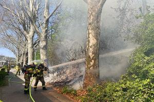 Vegetationsbrand am Bahnhof Untertürkheim führt zu Gleissperrungen