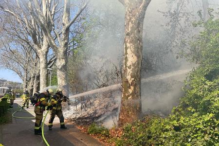 Löscharbeiten beim Böschungsrband.
Bildquelle: Feuerwehr Stuttgart
Hinweis: Das Bild darf im Rahmen der Bericherstattung zu diesem Einsatz verwendet werden. Löscharbeiten beim Böschungsrband.
Bildquelle: Feuerwehr Stuttgart
Hinweis: Das Bild darf im Rahmen der Bericherstattung zu diesem Einsatz verwendet werden.