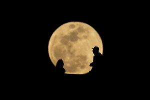Runde Sache: Vollmond in Texas