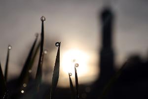 Oft über 20 Grad und endlich Regen: Wetter schwingt um