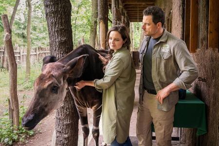 TV-Tipps am Dienstag TV-Tipps am Dienstag