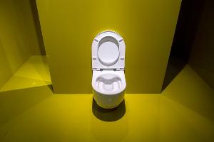 Kein Grund zur Panik: Schäumender Urin kann harmlos sein – oft sind Putzmittelrückstände in der Toilette die Ursache.