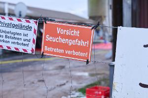 Nach dem Ausbruch der Maul- und Klauenseuche im brandenburgischen Hönow ist die Sperrzone mit Restriktionen für Landwirte aufgehoben (Archivbild).