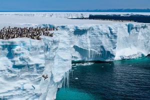 "Earth Day": Neue Doku zeigt noch nie zuvor gesehene Pinguin-Momente