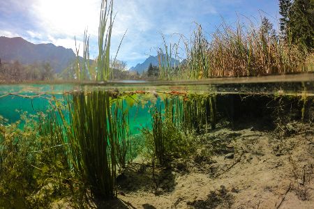 Flussufer unter Wasser