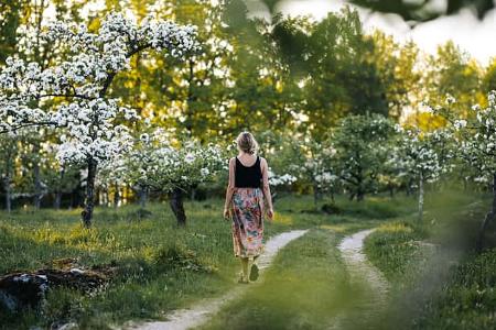10-Apfelblüte in Småland-Foto-Alexander_Hall