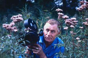 60 Jahre Naturwunder: NDR feiert "Expeditionen ins Tierreich"