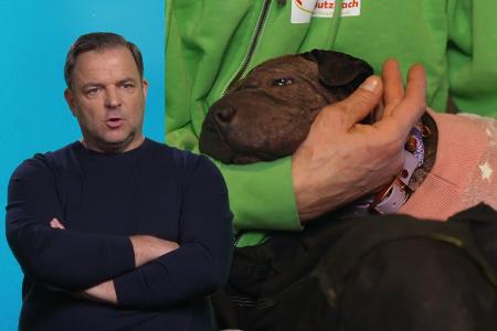 Die Unvermittelbaren - Mit Martin Rütter