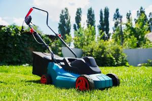 No Mow May