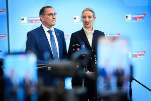 Was bedeutet die neue Einstufung für die AfD?
