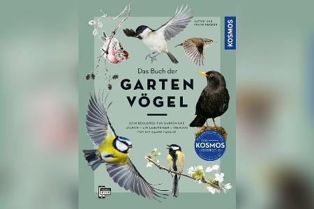 Wie wir heimische Vogelarten im eigenen Garten schützen können Wie wir heimische Vogelarten im eigenen Garten schützen können