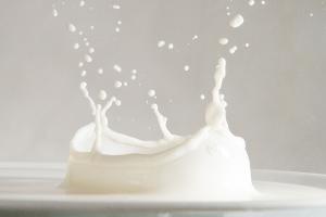 Unbehandelt klingt erst mal gut - doch für die gängigen Versprechen von Rohmilch gibt es keine wissenschaftlichen Belege. 