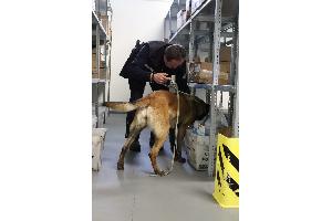 Postkontrolle am Truppenübungsplatz Grafenwöhr: Zoll setzt auf Technik und Spürhunde