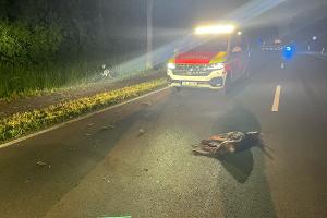 Olfen, B235/Motorradfahrer kollidiert mit Reh