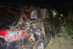 Betrunkener Autofahrer fliegt aus der Kurve