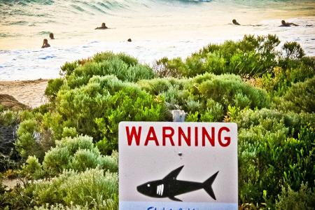 Die Gewässer rund um Australien sind berühmt-berüchtigt: Es kommt immer wieder zu Haiangriffen auf Schwimmer und Surfer. (Symbolbild) Die Gewässer rund um Australien sind berühmt-berüchtigt: Es kommt immer wieder zu Haiangriffen auf Schwimmer und Surfer. (Symbolbild)