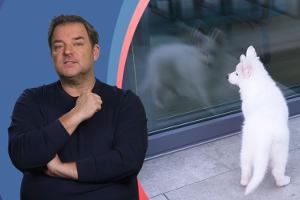 Nicht zu früh! Martin Rütter verrät das Alter, vor dem Kinder keinen Hund haben sollten 