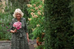Chelsea Flower Show: Im Namen der Rose