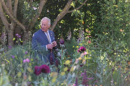 König Charles stützte sich beim Rundgang auf einen Stock.