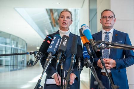 Die AfD-Chefs Alice Weidel und Tino Chrupalla kritisieren 