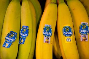 Bananen von Chiquita liegen in einem Supermarktregal in Bayern. (Archivbild) 