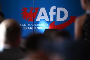 Die AfD in Brandenburg wehrt sich juristisch gegen ihre Hochstufung zur gesichert rechtsextremistischen Bestrebung. (Archivbild) 